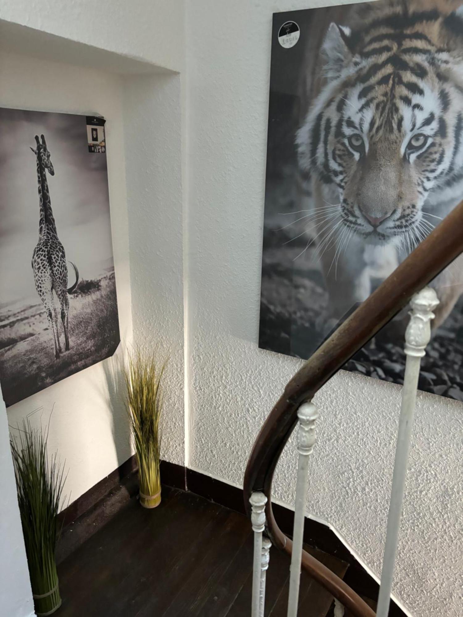 Apartament Le Duplex Safari Saint-Aignan  Zewnętrze zdjęcie