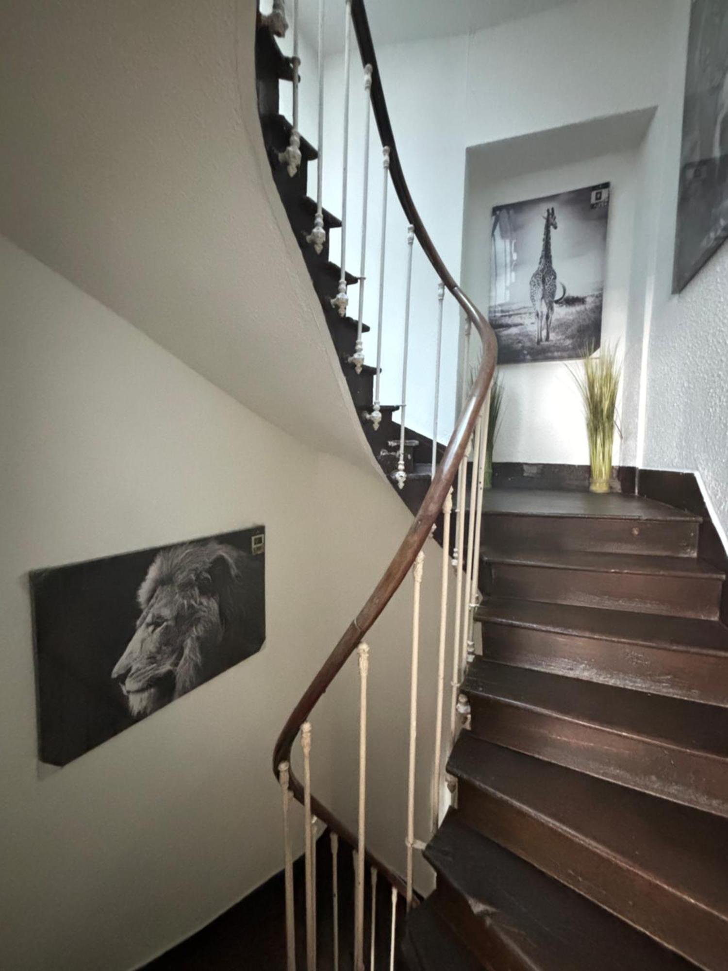 Apartament Le Duplex Safari Saint-Aignan  Zewnętrze zdjęcie